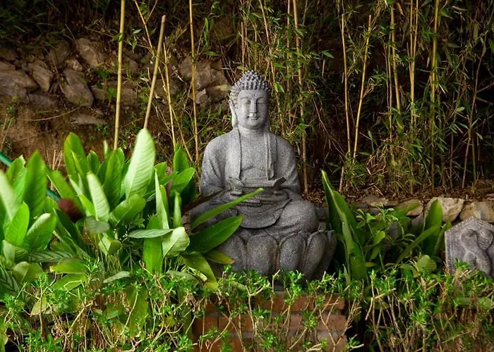 Himalaya Queen Bee Resort